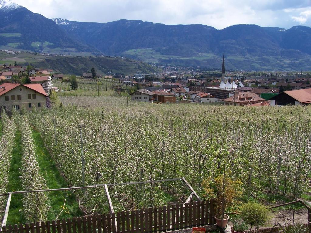 Garni & Residence Sonngart Lagundo Dış mekan fotoğraf